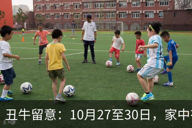 丑牛留意：10月27至30日，家中有喜讯，挡不住