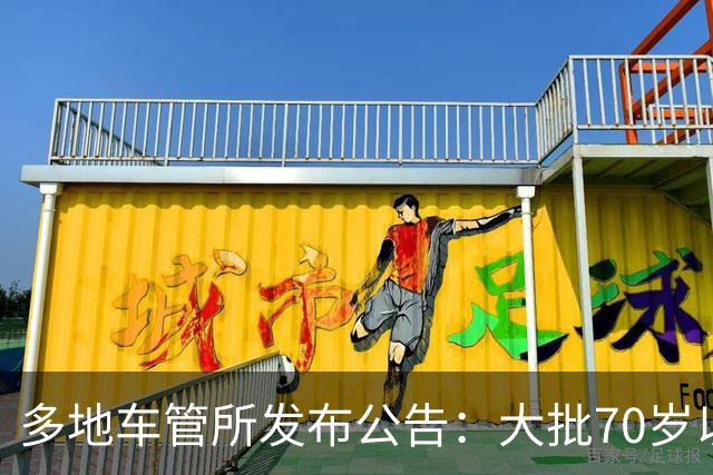 多地车管所发布公告：大批70岁以上老人驾照被注销