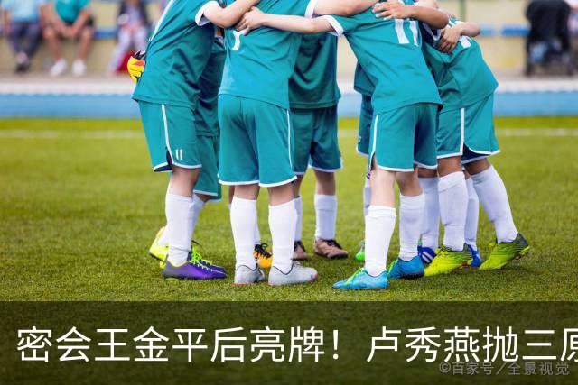 密会王金平后亮牌！卢秀燕抛三原则，两头不得罪，2028当选谈统一