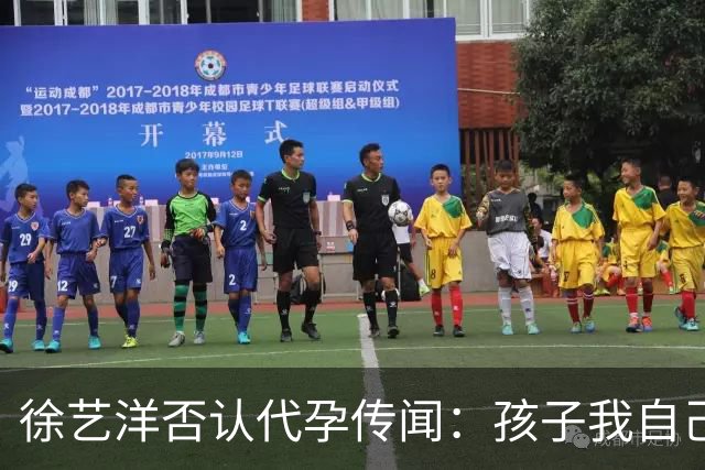 徐艺洋否认代孕传闻：孩子我自己生的