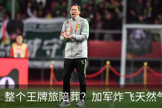 整个王牌旅陪葬？加军炸飞天然气田，弹药殉爆，损失创二战来之最