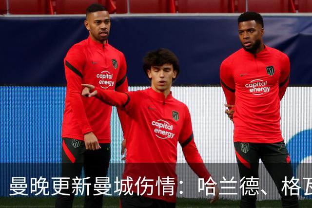 曼晚更新曼城伤情：哈兰德、格瓦可以出战维拉，塞梅尼奥12月回归