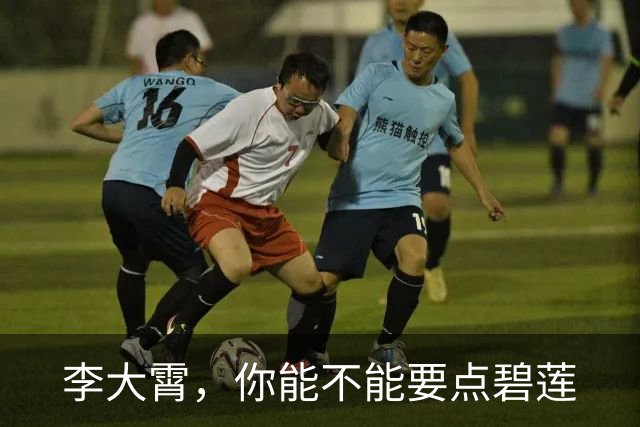 李大霄，你能不能要点碧莲