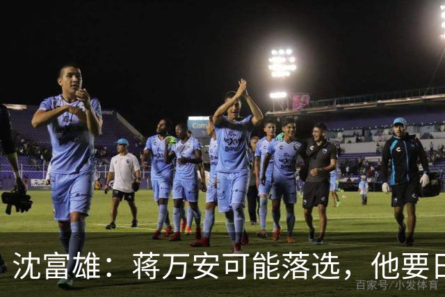 沈富雄：蒋万安可能落选，他要日落西山了