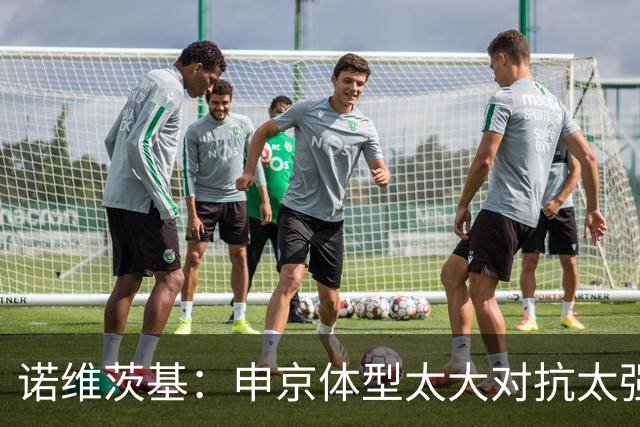 诺维茨基：申京体型太大对抗太强，马刺让他太轻松进篮下