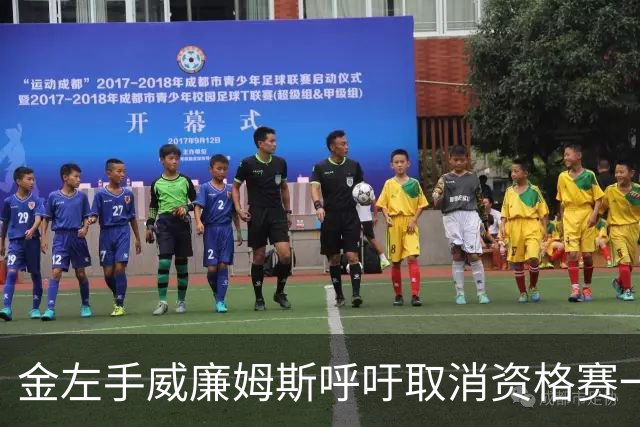 金左手威廉姆斯呼吁取消资格赛一律平签，斯诺克中国市场面临考验
