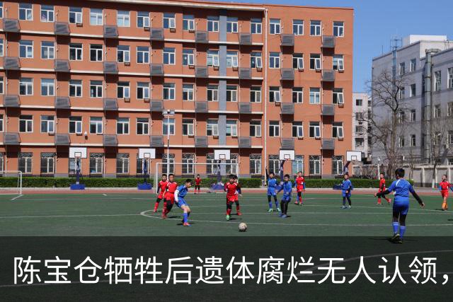 陈宝仓牺牲后遗体腐烂无人认领，17岁女学生跳海冒死偷渡将遗体运回！