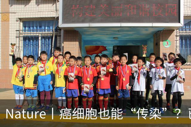 Nature丨癌细胞也能“传染”？已发现第四类可传播癌症